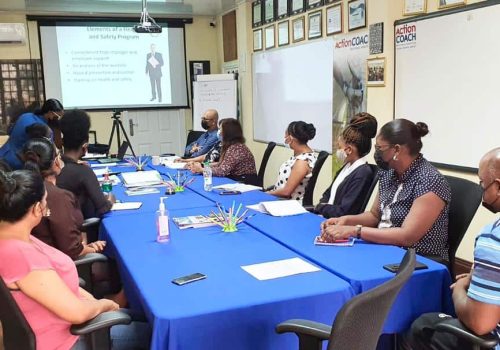 business coaching in guyana